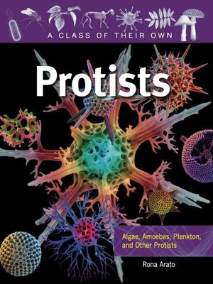cover image of Protists
